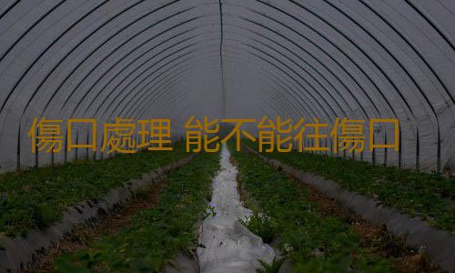 傷口處理 能不能往傷口上撒鹽