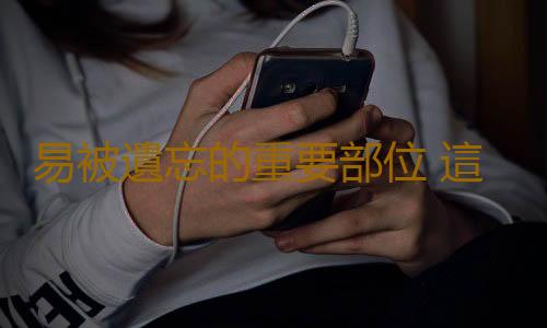 易被遺忘的重要部位 這2個該保養了